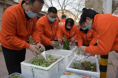 春節，他們在堅守——通信公司保障油田生產、服務礦區居民、力闖外部市場工作剪影